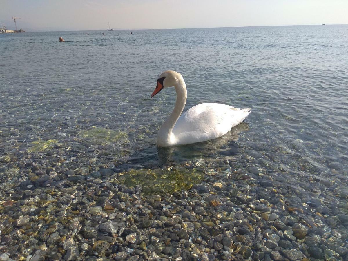 Seafoam Apartment Ριέκα Εξωτερικό φωτογραφία